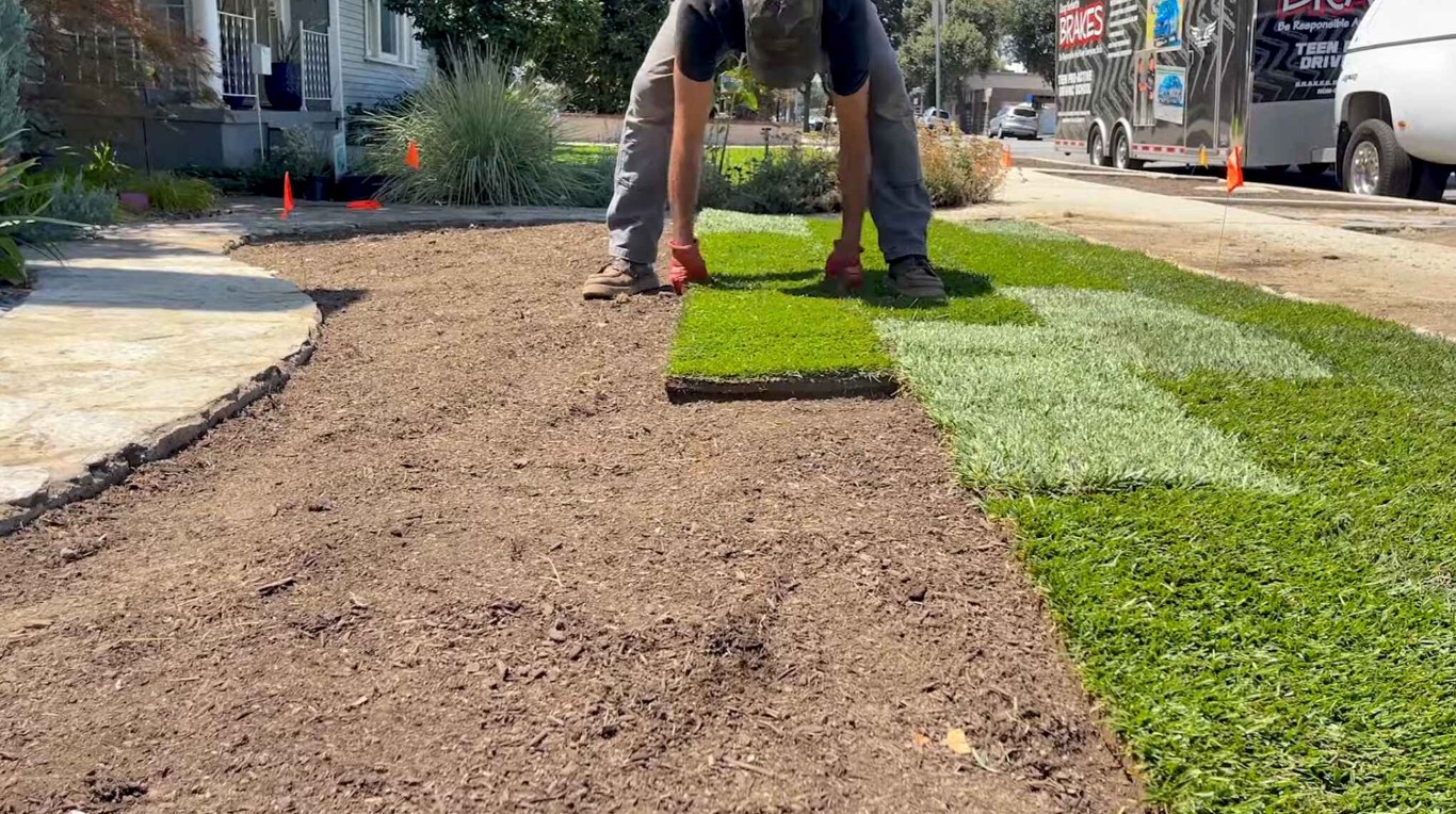 Sod Installation & Lawn Renovation service in Pico Rivera, CA