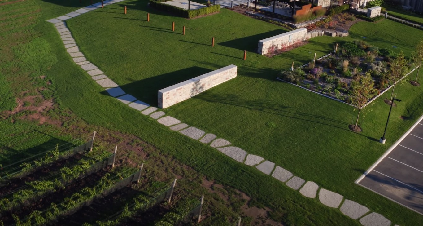 Terraced garden with decorative stone steps and ornamental grasses